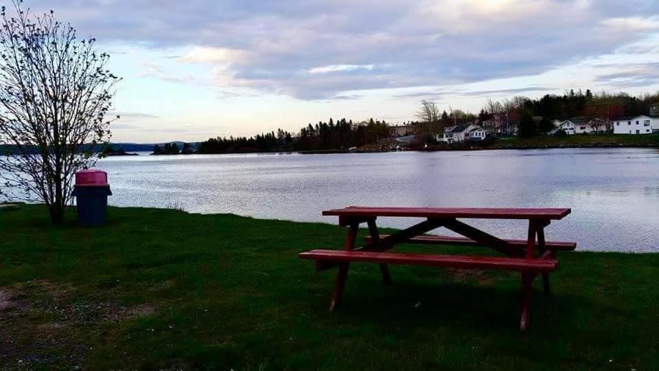 Riverview Suites Clarenville Extérieur photo